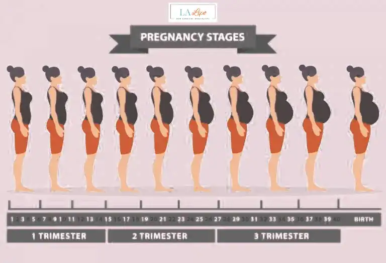 First Trimester (Weeks 1–12): Early Changes You Might Not Notice Cheshire